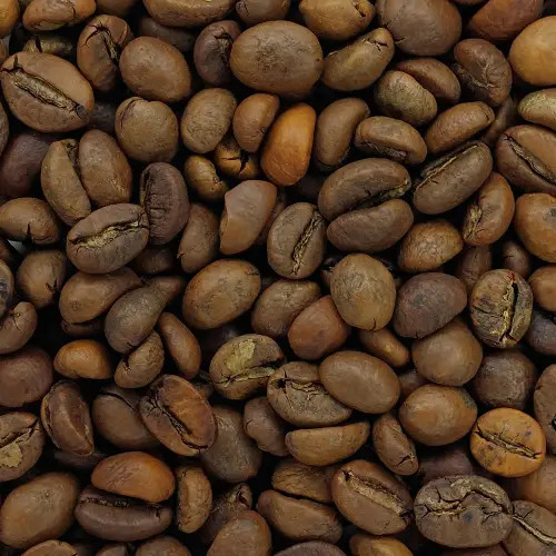 دانه قهوه House Blend King Coffee | بسته ۱ کیلویی | دانههای تازه با عطر طبیعی و طعم خوشایند