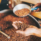 دانه قهوه اکسپرت شکلاتی King Coffee | بسته ۱ کیلویی | ترکیبی متعادل از تلخی ملایم و طعم شکلاتی